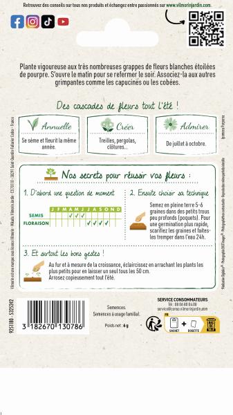Fleurs - Ipomée Géante Blanche - MEDIA_PACKAGING_VERSO